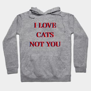 I love cats not you Hoodie